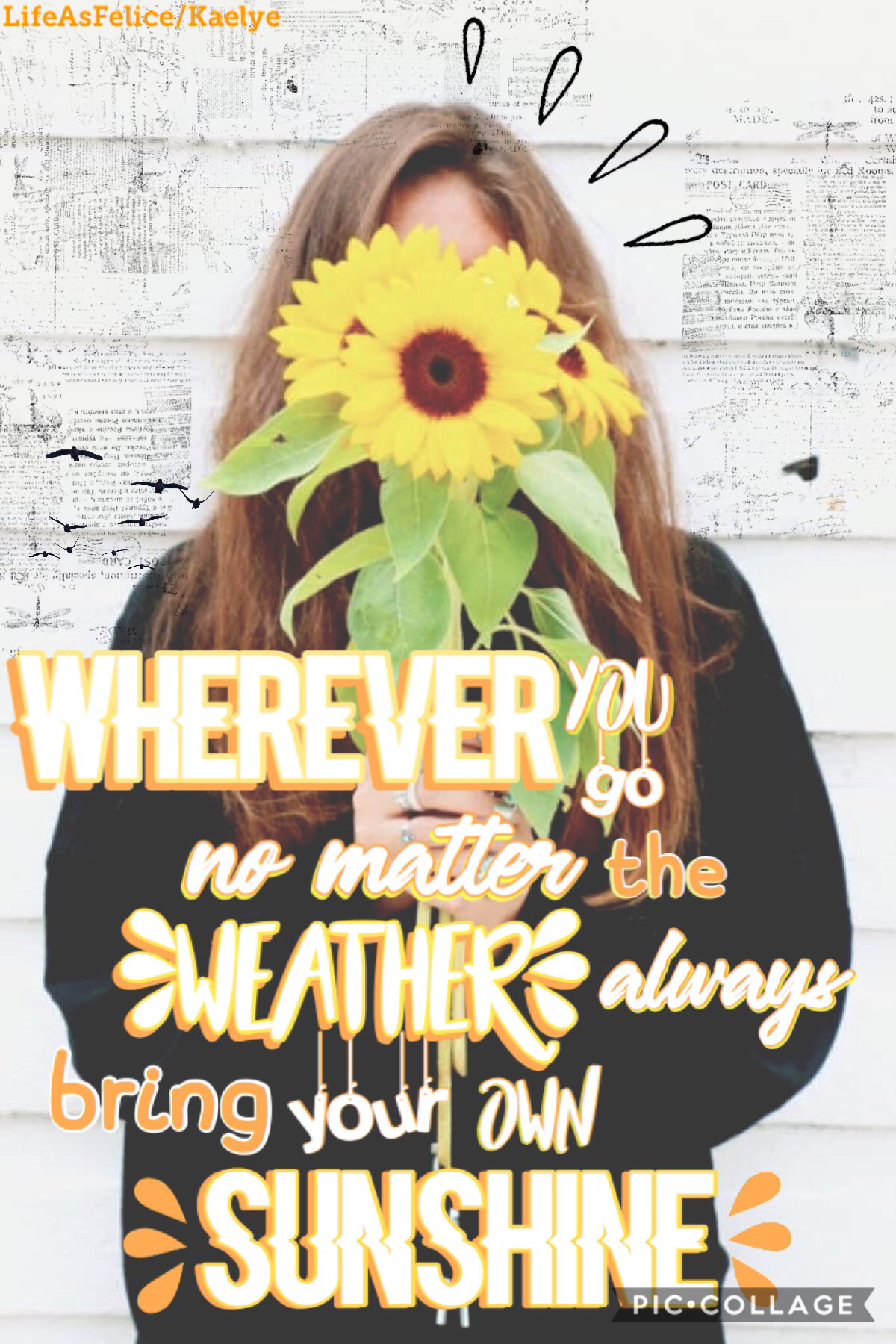  Tap
Collab with Kaelye! She is very talented and there’s a collab sheet at her acc! I made the arrangement of the collage and she chose this wonderful pic and quote!