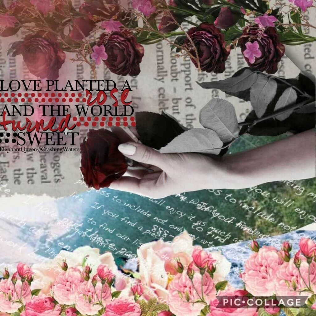 Collab with my best friend -elephant queen-💗😘🌊ilysm!!! I did background she did GORGEOUS quote!!🙈❤️thanks for all joining in the kindness collage swap! Keep spreading word! 🤗trying out new styles so keep an eye out!😂🎉💜
