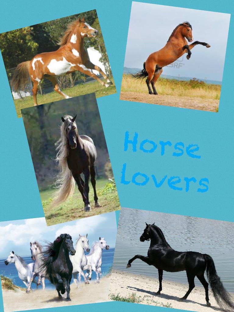 Horse lovers 