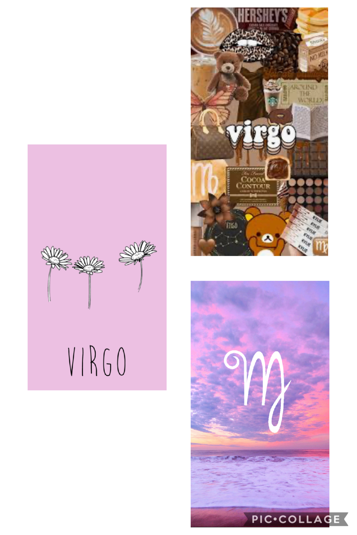♍️ virgo ♍️ 