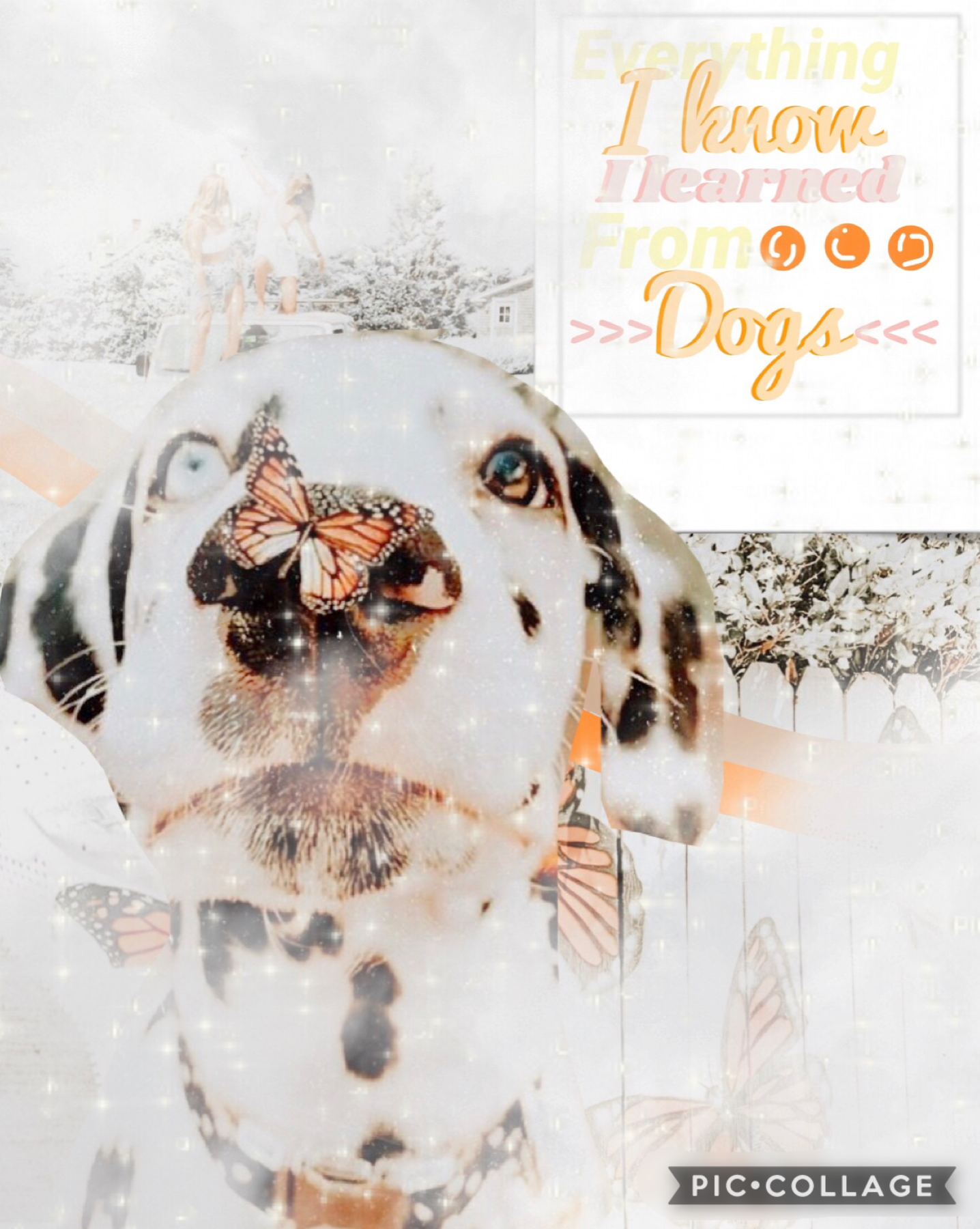 4/28/20
I always do people😆 so here’s a dog themed collage!!:)