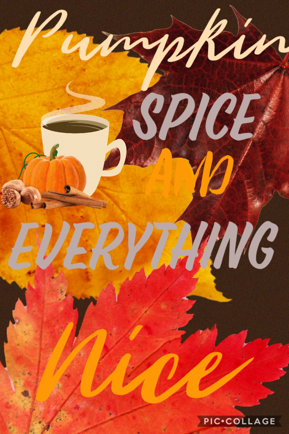 Fall Feelings are up! Just got a pumpkin spice latte from my boyfriend. So sweet!!