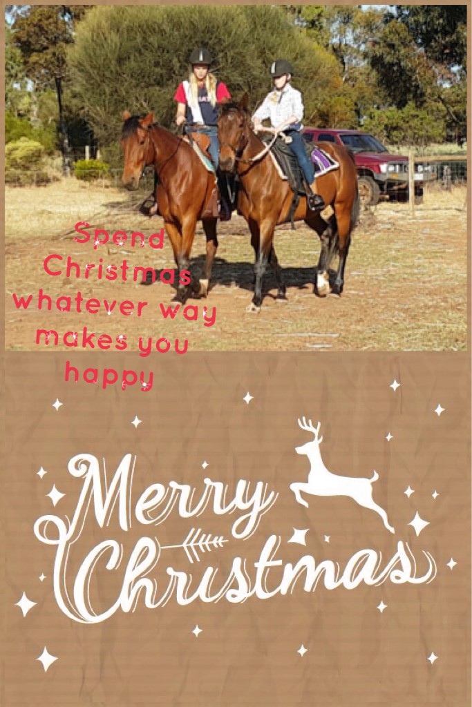Spend Christmas whatever way makes you happy #horses #theory # life