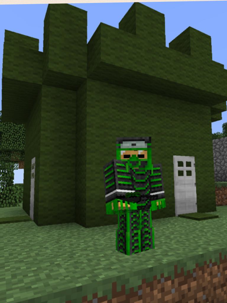I look good don't I I was playing minecraft