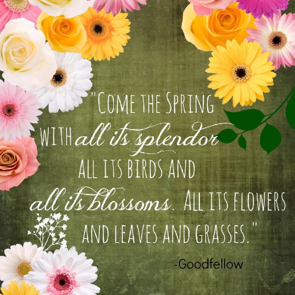  Love spring quotes
