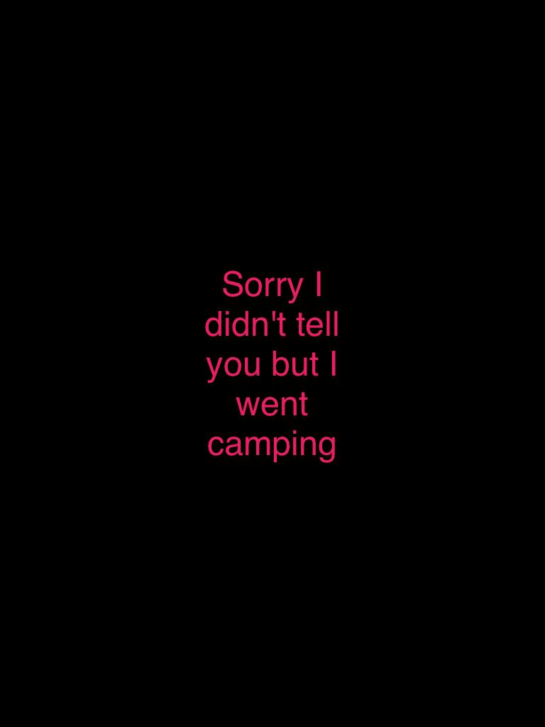 Sorry I didn't tell you but I went camping