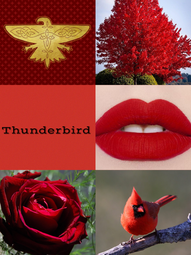 Thunderbird edit!