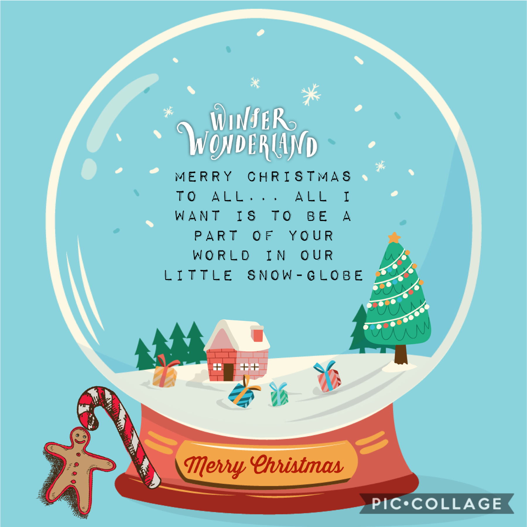 Merry Christmas everyone ☺️❤️