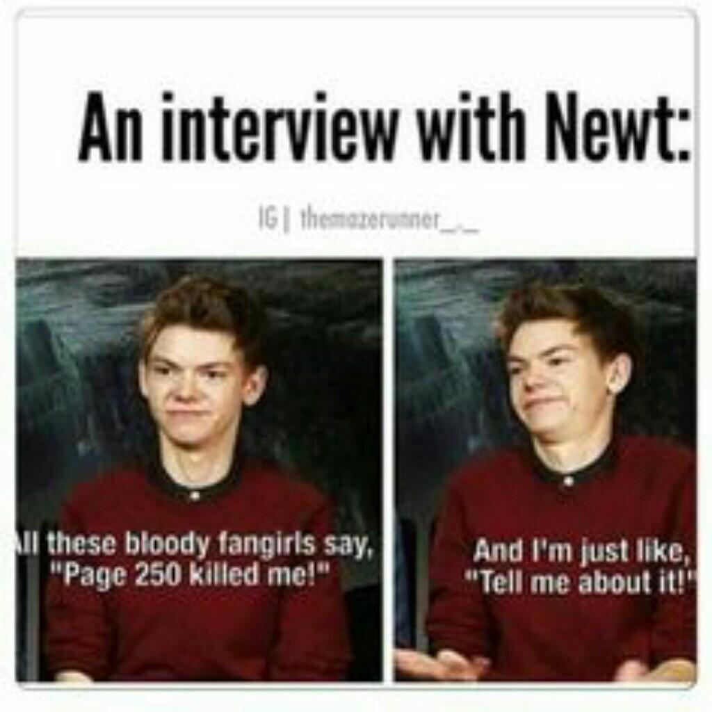 oh Newt
