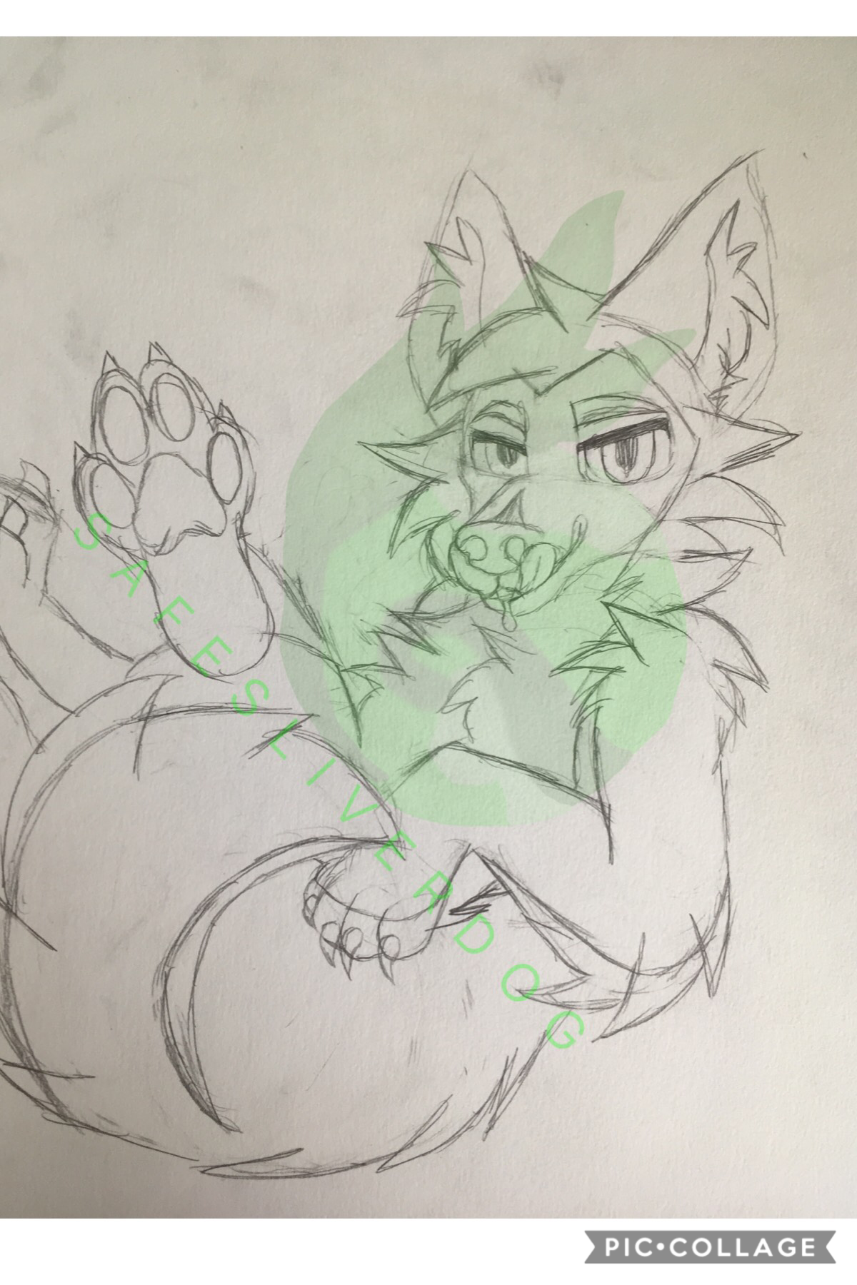 TAP!
What does this remind you of? Also, this is Olive Husky again QwQ I need to sell him or do a DTA with him or something I don’t like him but there’s a whole backstory behind that. I’ll tell ya if you ask UwU 
TILLY WILLY HAS A LITTLE DILLY 