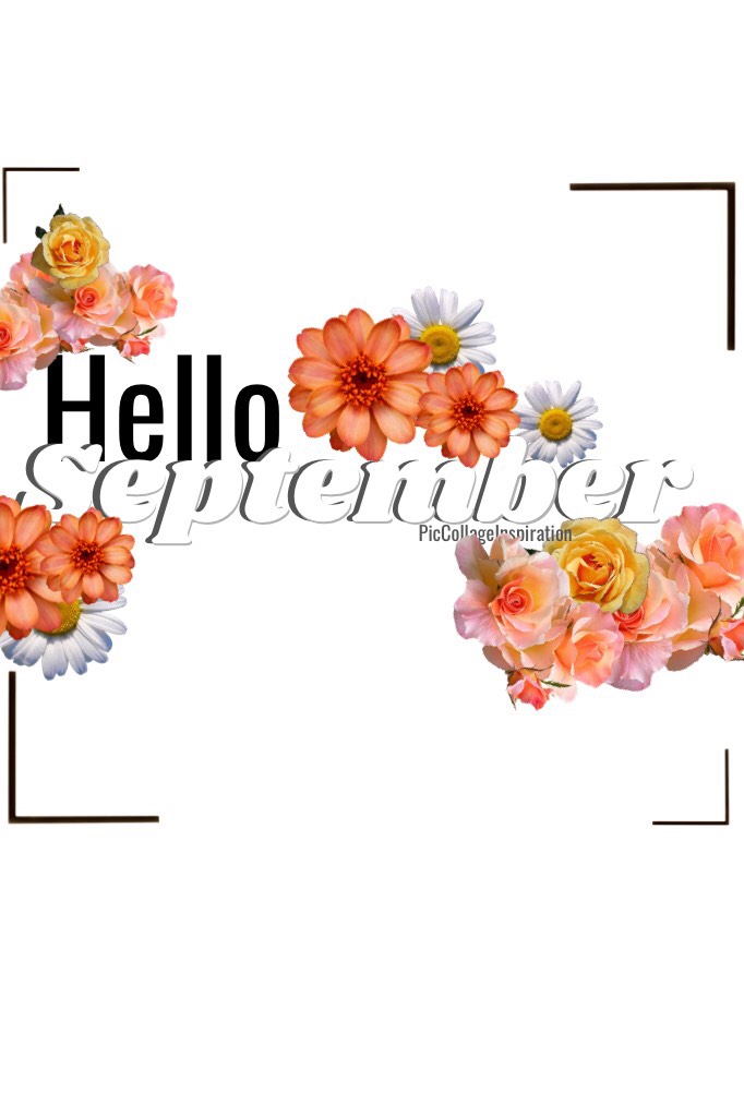 Hello September !
Where did August even go?
Tags:
pconly, PConly, Leila101, Hello, Flower, Fall, png, Simple edit, colorful, summer end, goodbye august, PicCollage, PCinspo