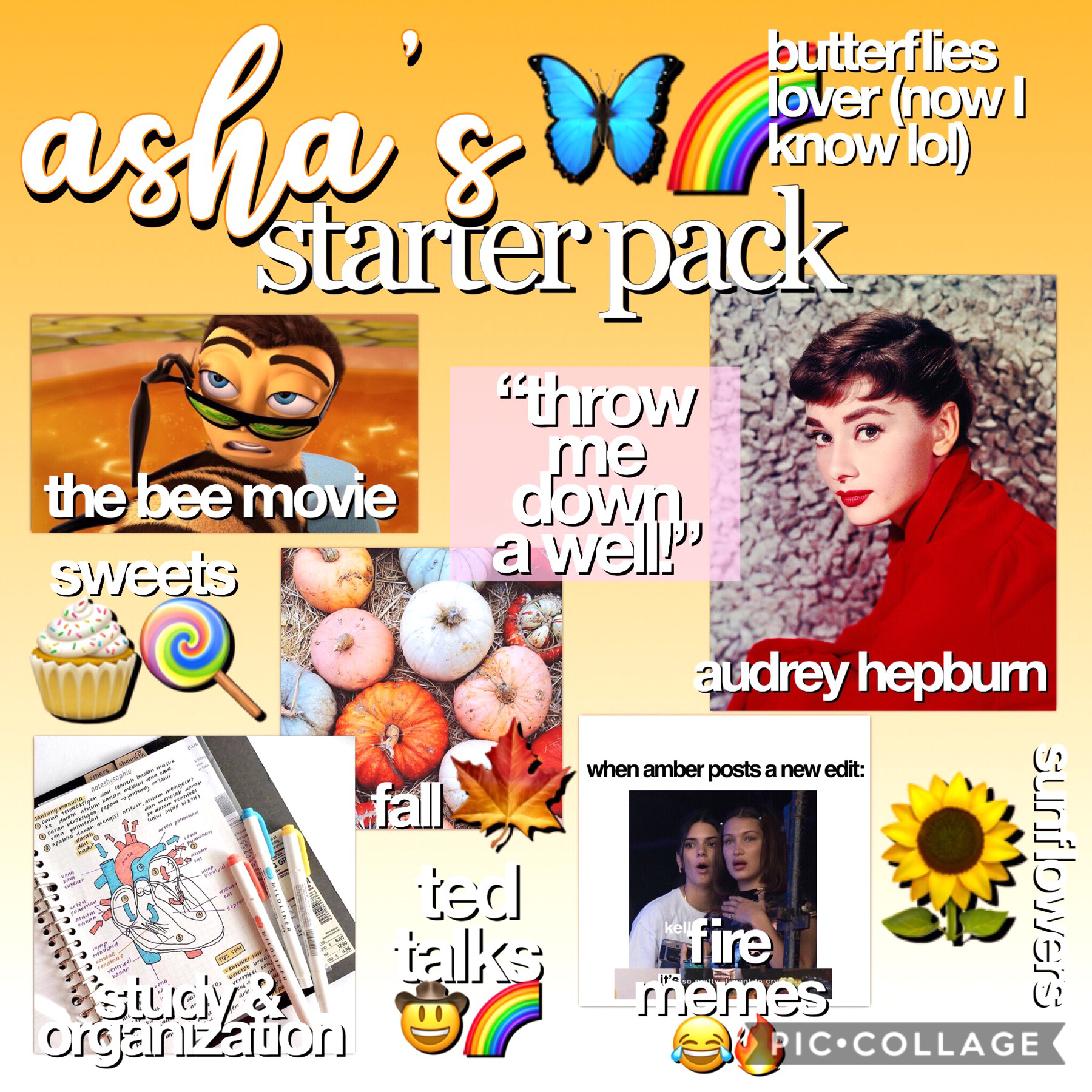 my best friend’s starter pack 😂 if you ever wondered how to become asha, follow this list and then add some editing talent! follow her @cooperfun11