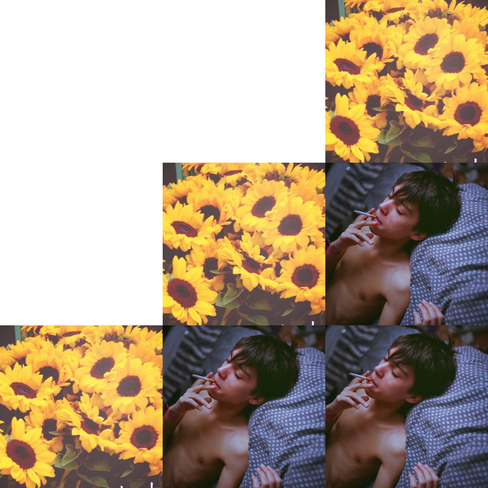                🌼tap🌼
   ✨pacify her she's ✨
✨getting on my nerves✨
Troye aesthetic and Melanie lyrics are my life 