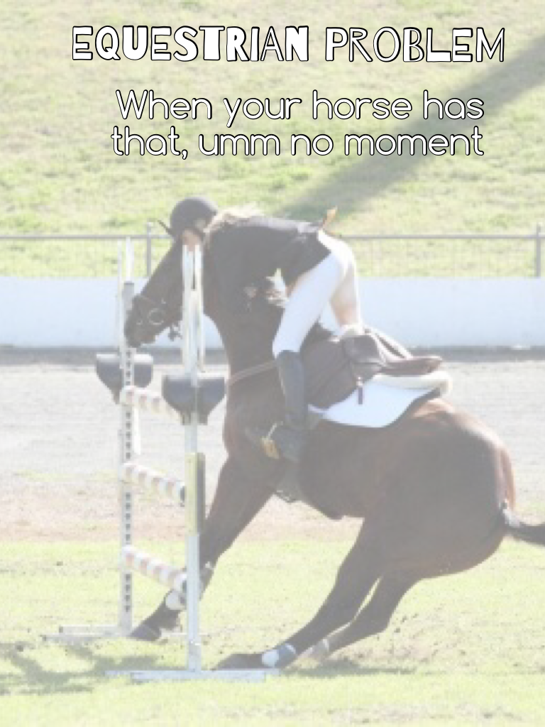 Equestrian problem