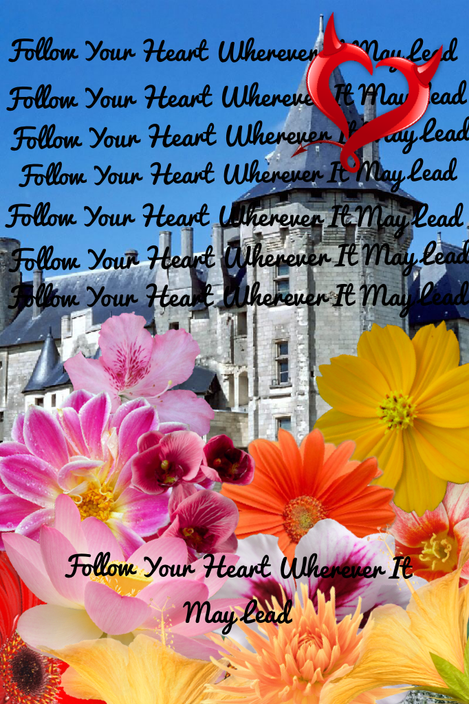 Follow Your Heart Wherever It May Lead