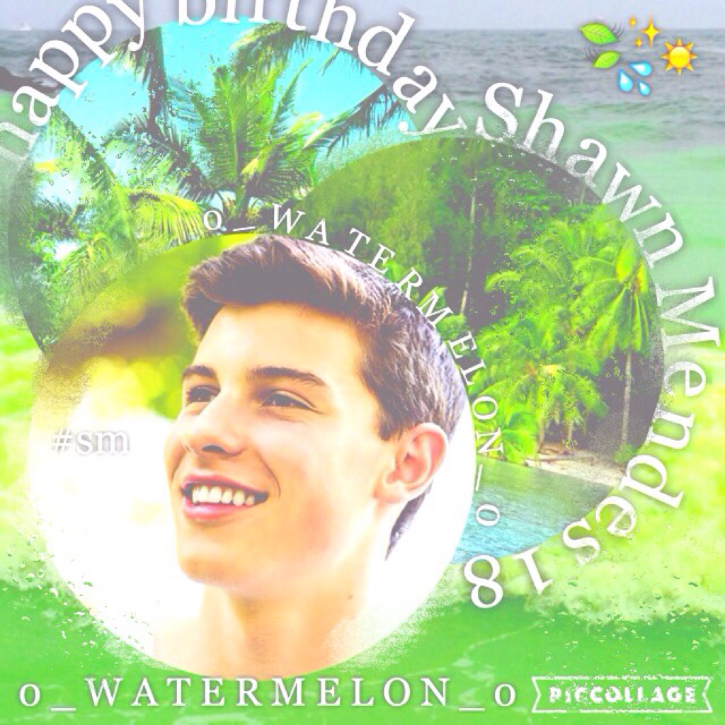 Happy bday Shawn! I'm so proud of your success! I had a countdown for this day for a whole month I'm a huge fan! #mendesarmy🍃💧