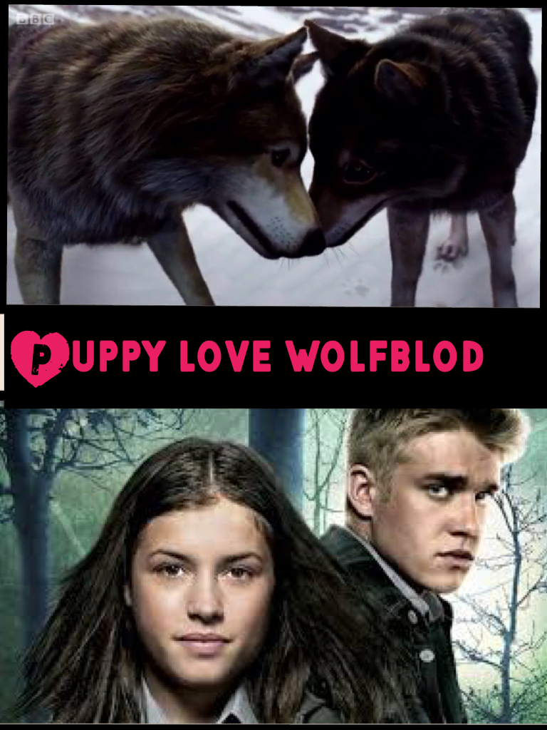 Puppy love wolfblod