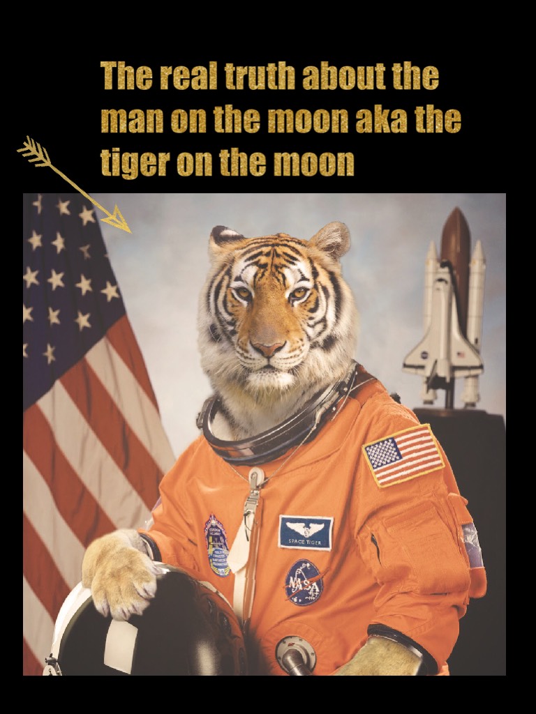 The real truth about the man on the moon aka the tiger on the moon