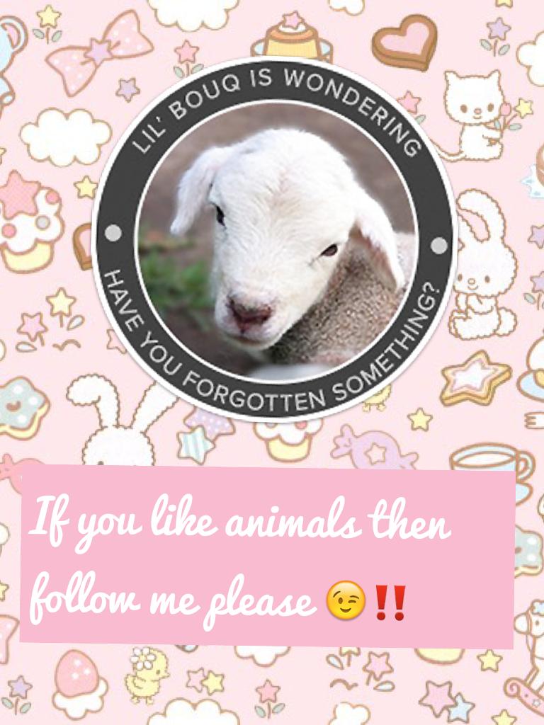 If you like animals then follow me please 😉‼️