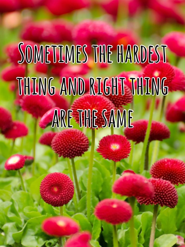 Sometimes the hardest thing and right thing are the same
