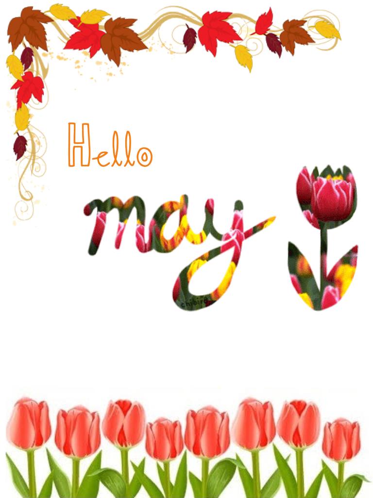 May Is Here! 🌷