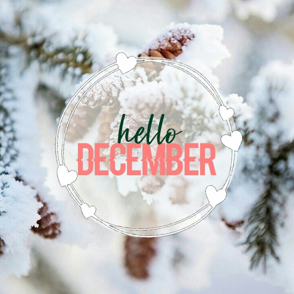 ⛄t a p⛄
HAPPY DECEMBER!
That's my favorite winter month!
What's yours?
And enjoy December!
Xoxo,
Rosie