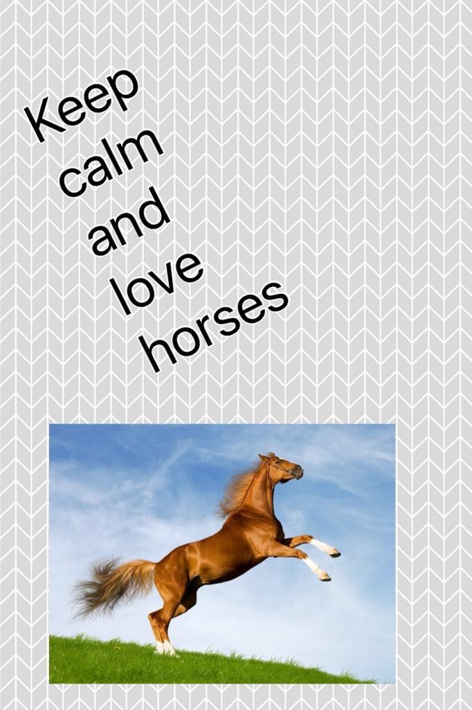 Keep calm and love horses 