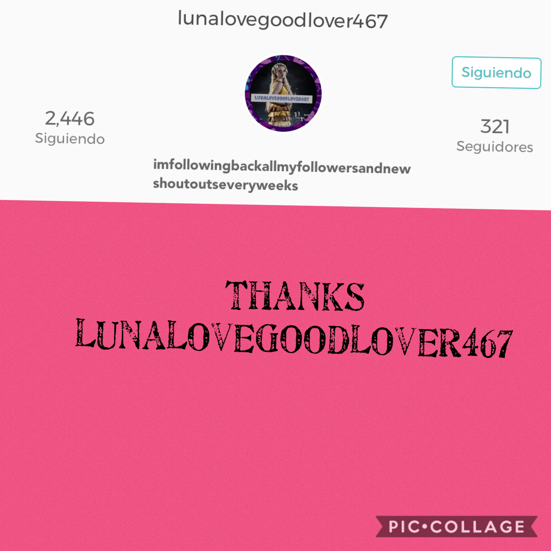 lunalovegoodlover467