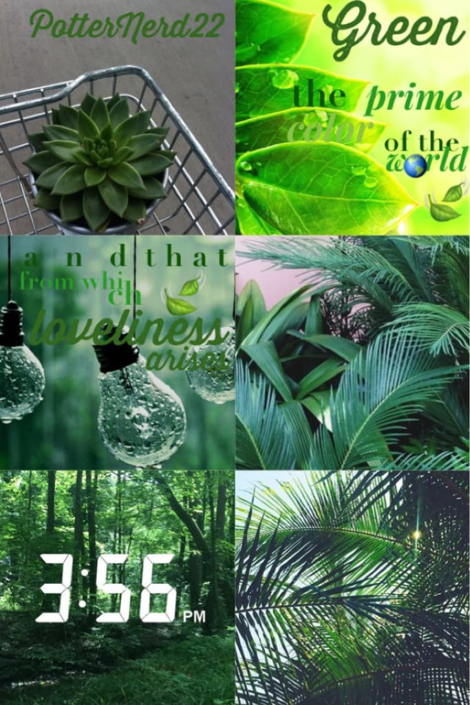 💚Tap💚
Entry to StarbucksLatte's contest! ☕️ 
#4 of new style! 🌿
🌱😌Aesthetics😌🌱