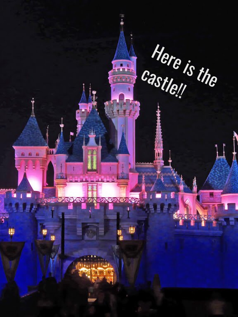 The Disneyland Castle!!🏰