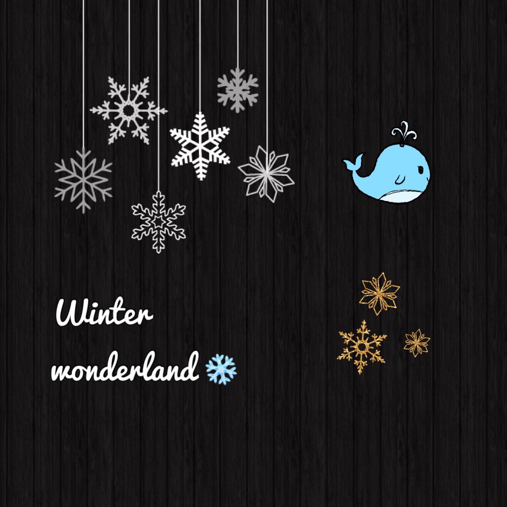Winter wonderland ❄️ 