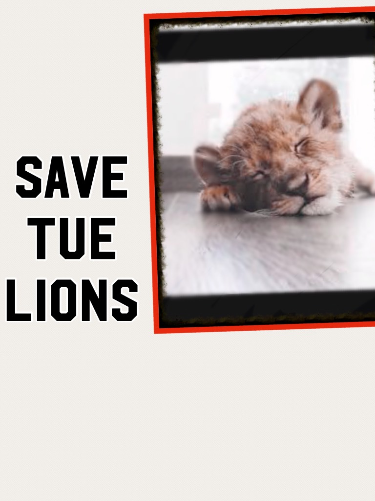 Save the lions 