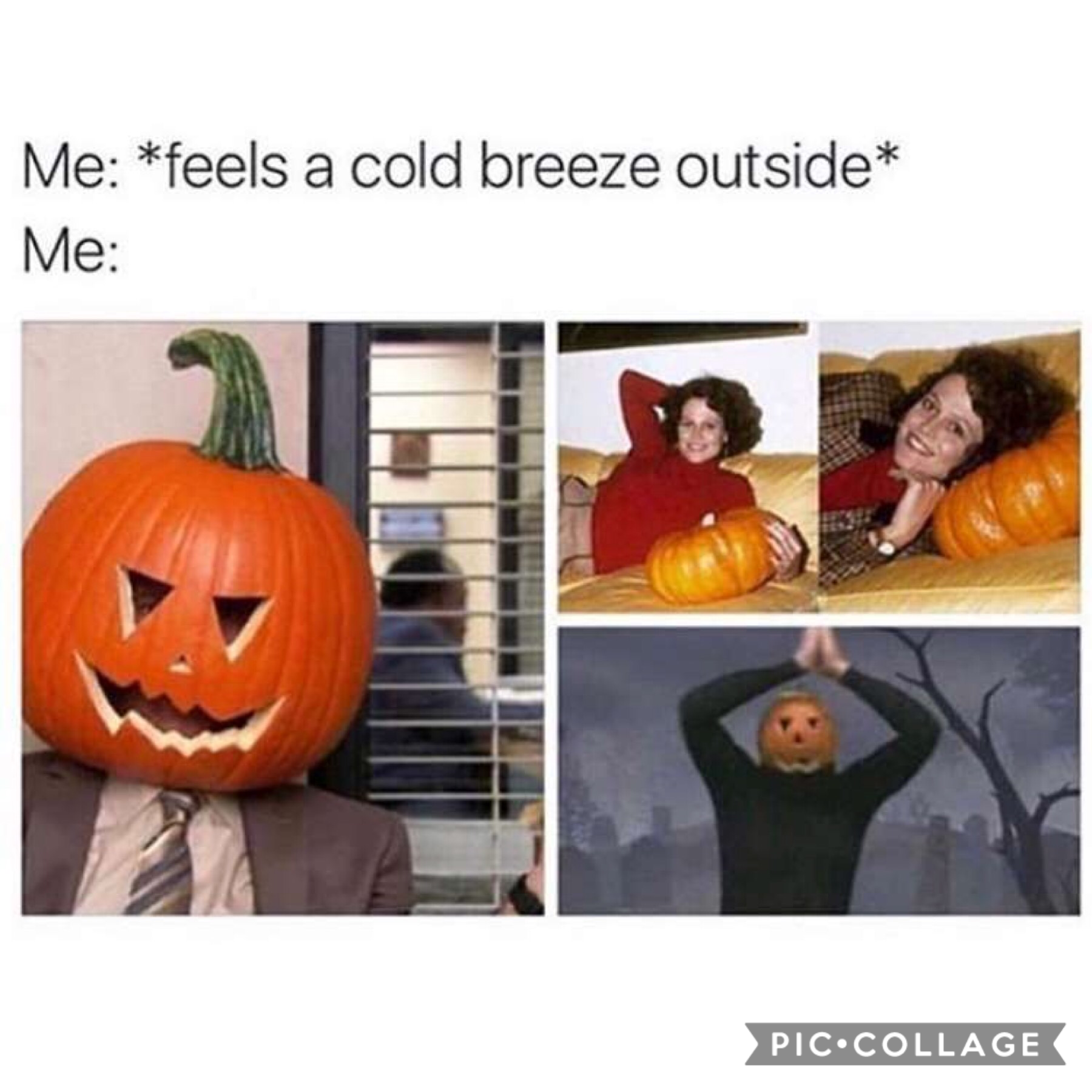 Currently me while my parents tell me that there’s only a little time left to wear summer clothes so I should wear them while I can pshh *brings out fall sweaters and fake leaves* 