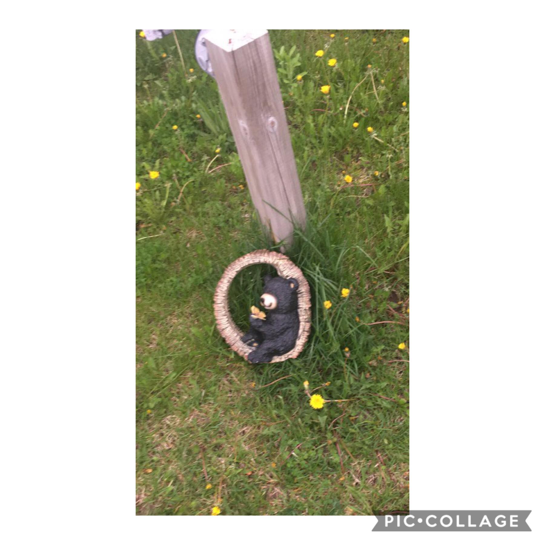 this lil solar powered bear&log has been on this one persons property for like two weeks now but they didn't put it there, it just showed up there one day and there it shall stay. it disappeared for like a day then reappeared the next day.