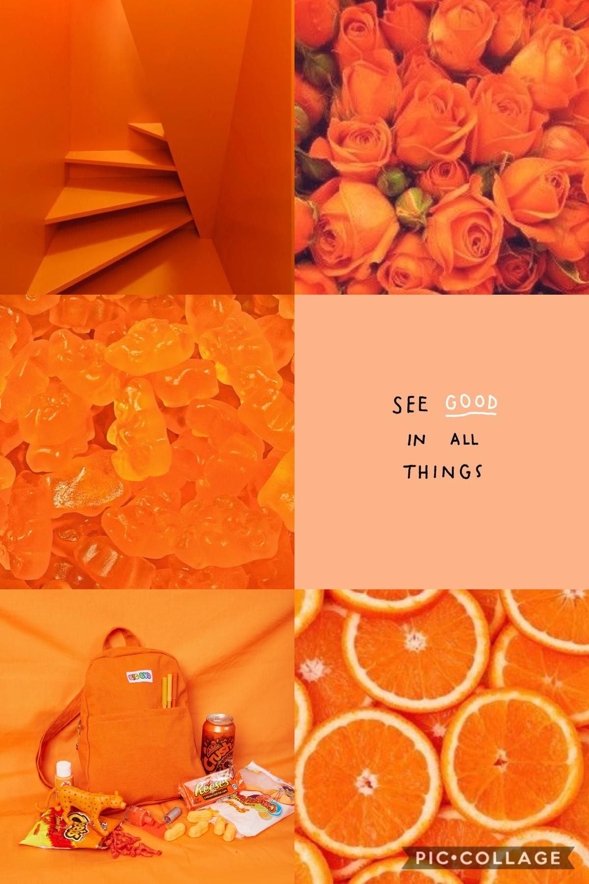 Orange aesthetic! 🎃👩🏻‍🦰👘🐹🦊☄️💥🔥🍊🍑🥕🏀⛵️⛺️🌆🛡🏺📙🧡🉑☢️☣️📴📳🈶🈚️🈸🈺🈷️✴️🆚🔸🔶🇧🇹