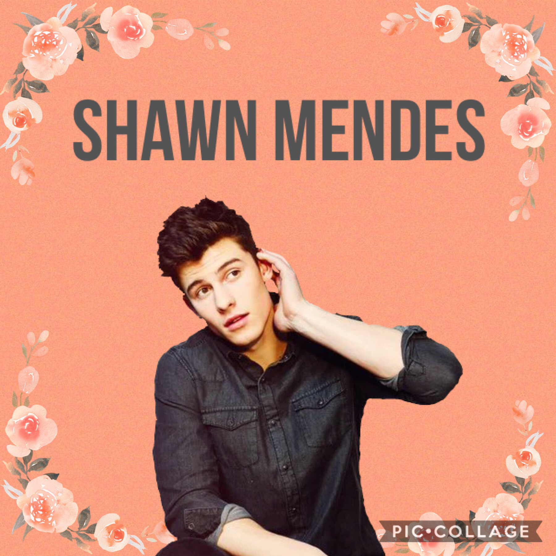 This is a simple edit of Shawn Mendes. 