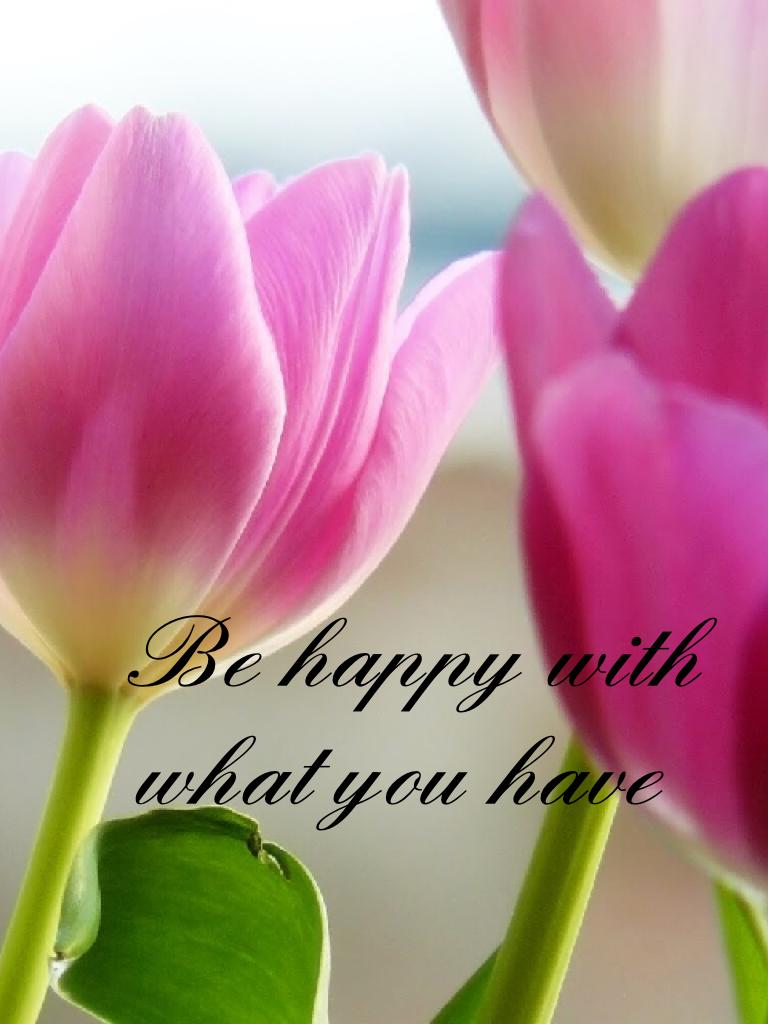 Be happy with what you have.....