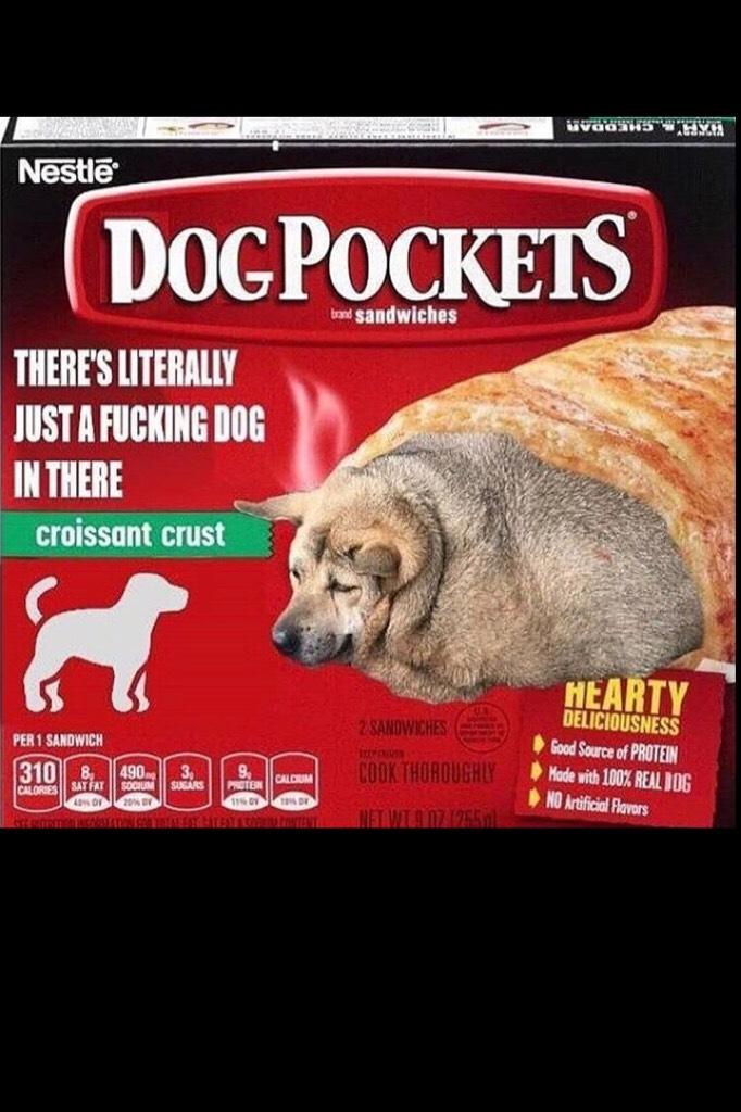 Dog pockets 