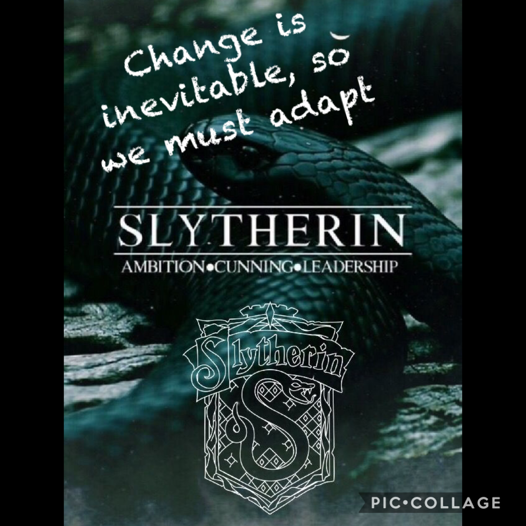 Slytherin Proud