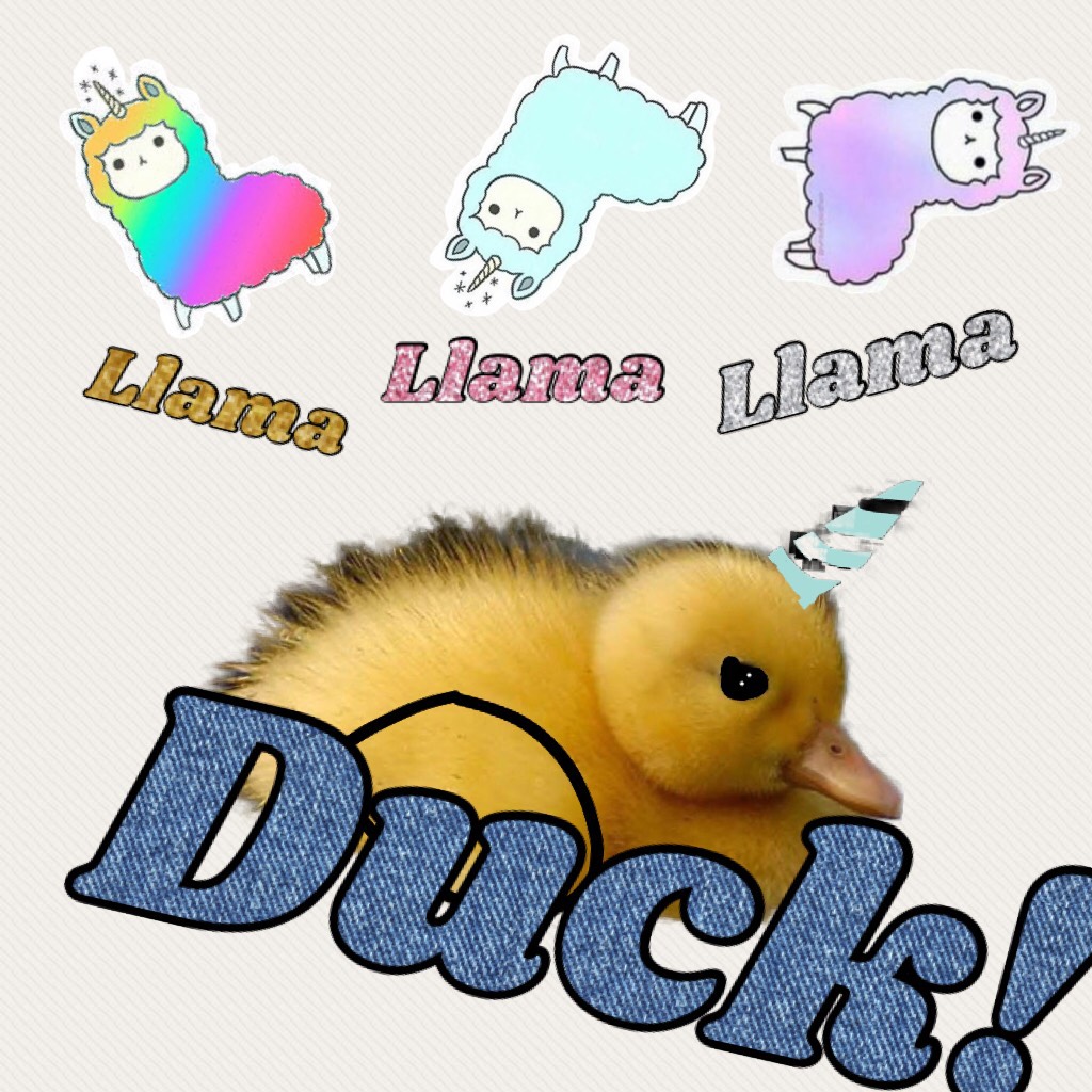 Duck! #DuckySoCute Hug a friend who loooves baby ducks! (So cute!)