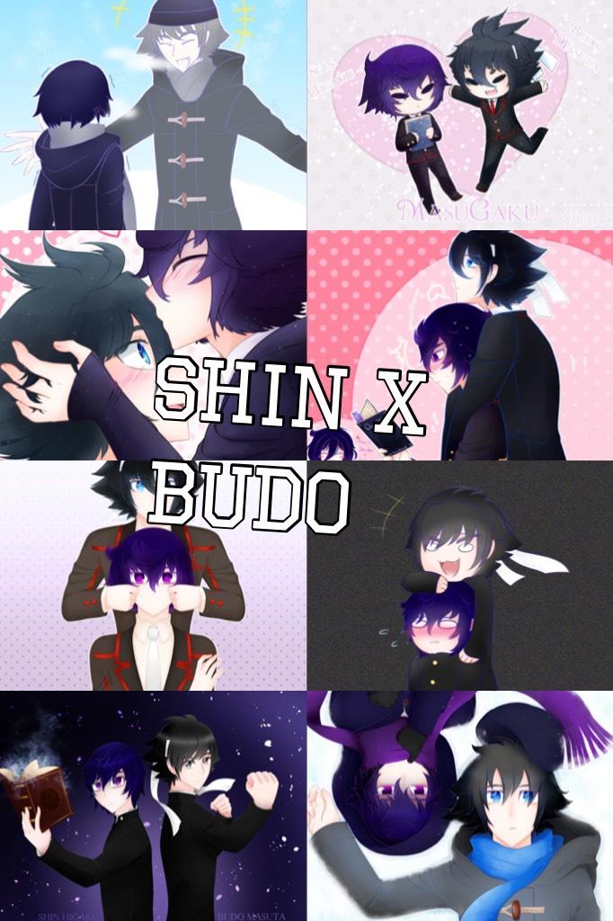 Shin X Budo