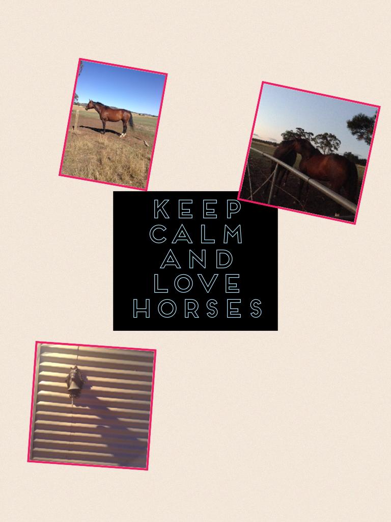 Keep calm and love horses they are so cute 