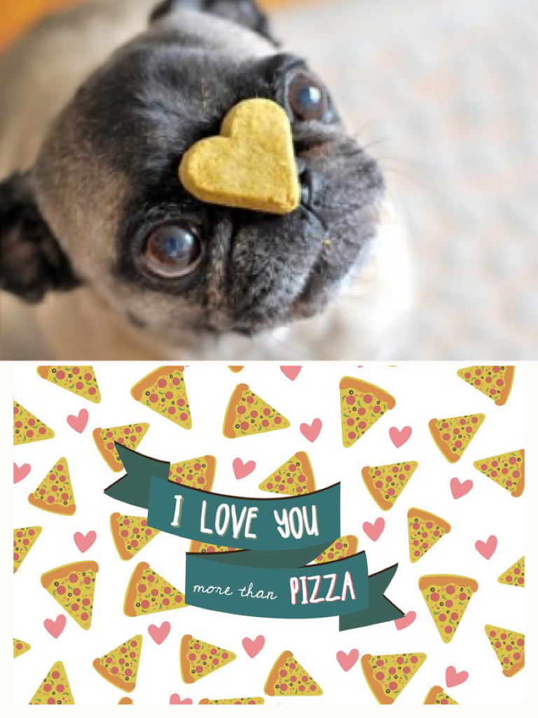 I love pugs more then pizza😀