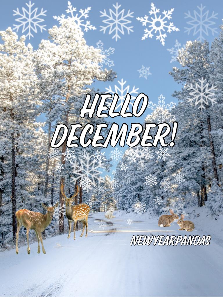 I have no ideas for PicCollage, and I'm too busy. I hope that you all have a very merry winter and that you will complete your 2K16 New Year Resolution, and have new ones for the up coming year. :)
