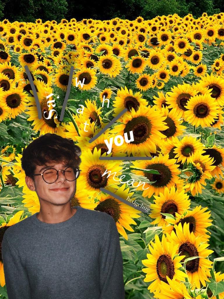 Tap! 
Yay sunflowers! 
OH MY FREAKING GOD LOOK ITS A BOY! NOT A GIRL! I DONT THINK IVE EVER MADE A COLLAGE ONLY WITH A BOY IN IT! OH YEAH! WOOOOWHOOOO! (I know, ur so proud of me😂😂😂)