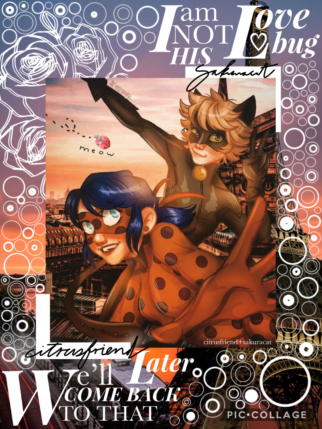 Collab with @citrusfriend (previously abstractthoughts) THANK YOU FOR LETTING ME USE THE FANART FOR THIS YOUR ART IS AMAZING
Check remixes for a random Chat Noir thing
QOTD: a song that calms you down (and has nothing to do with love?) 
AOTD: Lost Boy-Rut