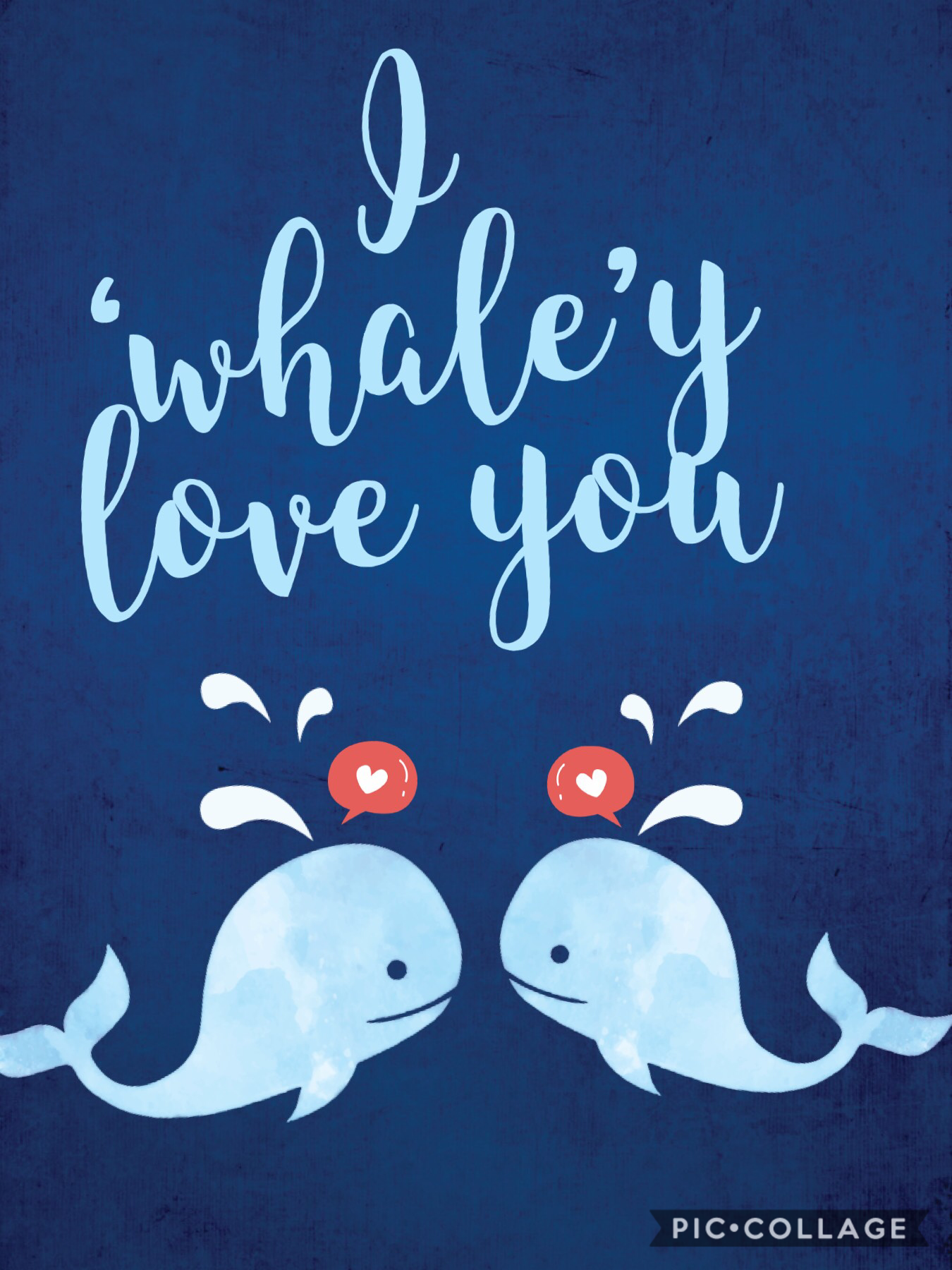 I whale’y love you 🐳🐋❤️