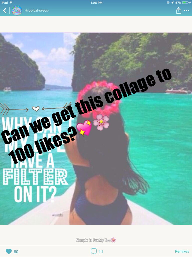 Can we get this collage to 100 likes?💖🌸