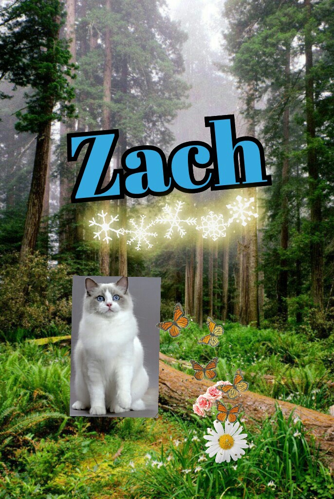 Zach