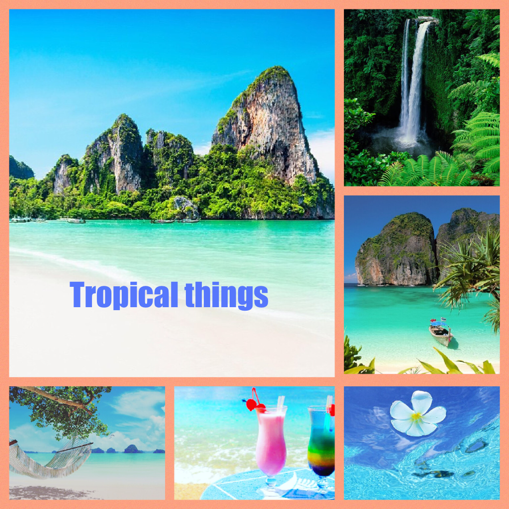 Tropical things 